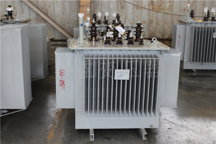 山南S20-800kVA/10kV/0.4kV变压器